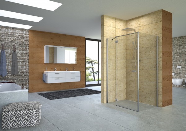 Seitenwand f.Schwenkt.derby BM 750x2000 sil.hochgl.ESG transp.PflPLUS VIGOUR