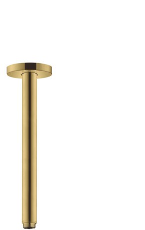 Hansgrohe Deckenanschluss S DN15 300mm PGO 27389990