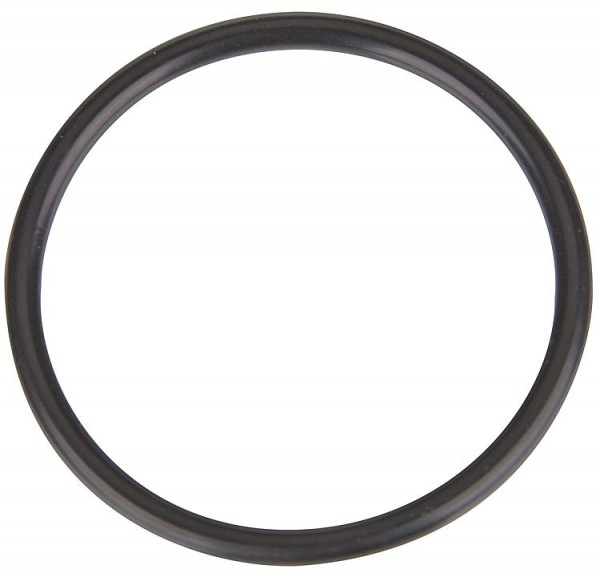Ersatz O-Ring für EVENES Zirkulationspum pe EV-ZUP 15, 53x4mm