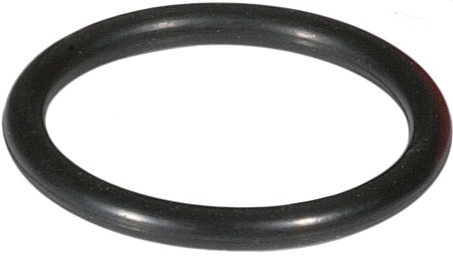 Resideo O-Ring 0901499 für Filtertasse R 1'''' + R 11/4''''