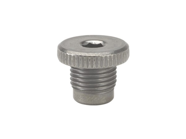 Danfoss Druck- und Vacuumstopfen BFP (Liefereinheit: 1 Stück) 071N0604