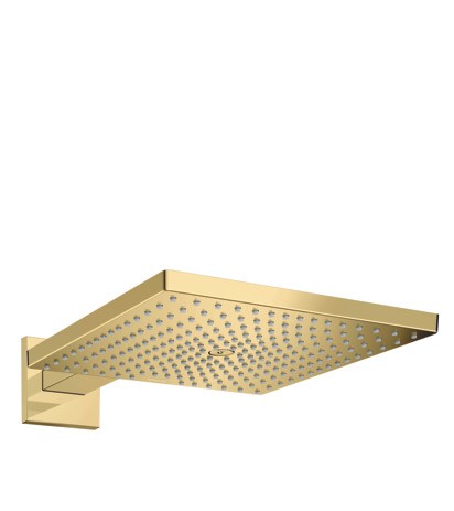 Hansgrohe Kopfbrause Raindance E 300 1jet m.Brausearm 390mm PGO 26238990