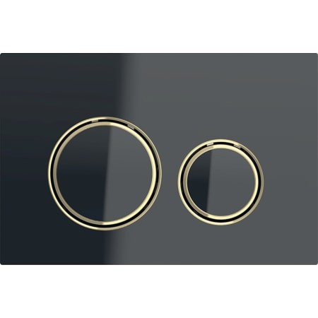 Geberit BetPl. Sigma21, für 2-Menn-Sp. Messing, schwarz 115.652.SJ.1