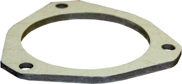 Wolf Dichtung Luftdüse für TOB 391027299