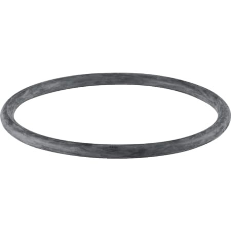 Geberit PE Rundschnurring di55x6 363.789.00.1