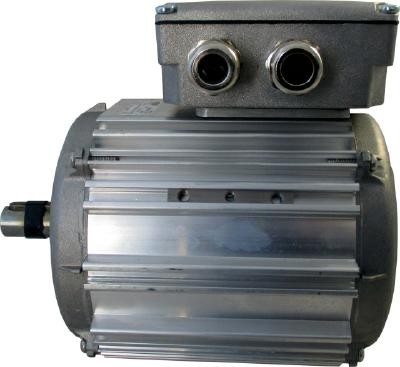 Wolf Motor 0,45/0,15 900/700 400 für TLH100