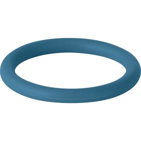 Geberit Mapress Dichtring FKM blau d108 90893
