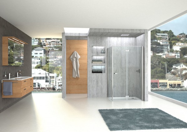 Falt-Pendeltür f.SW derby Sonderm.1 re. silber matt ESG transparent G1 VIGOUR