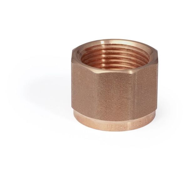 Rehau Kappe Rp1/2 RAUTITAN RX+ 14563911001