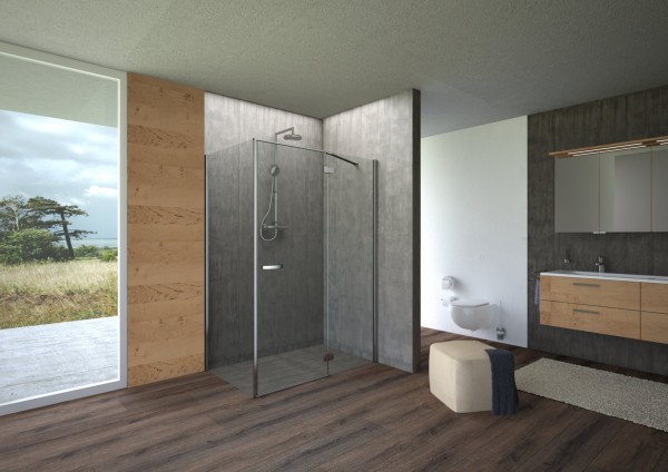 Pendeltür f.SW re.derby BM 1000x2000 sil.hochglanz ESG transparent G2 VIGOUR