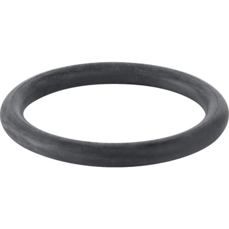 Geberit O-Ring für Ablaufstutzen ab Modell 77 892.975.00.1